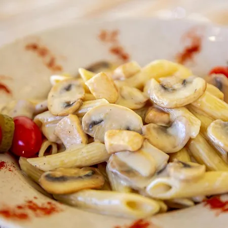 Sol De Verano * 알라카티